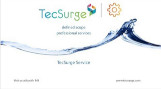 An intro&shyduction to TecSurge Service